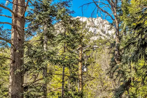 Other - 24700 Forest Dr, Idyllwild, CA 92549 photo 8 of 21