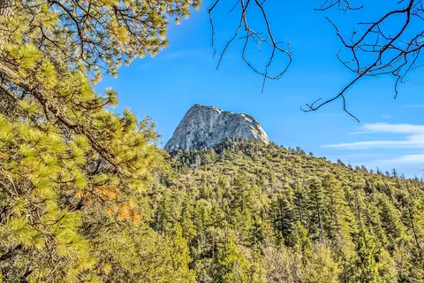 Other - 24700 Forest Dr, Idyllwild, CA 92549 photo 14 of 21
