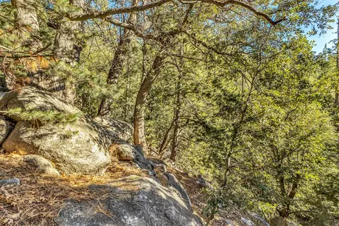 Other - 24700 Forest Dr, Idyllwild, CA 92549 photo 19 of 21