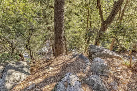 Other - 24700 Forest Dr, Idyllwild, CA 92549 photo 18 of 21