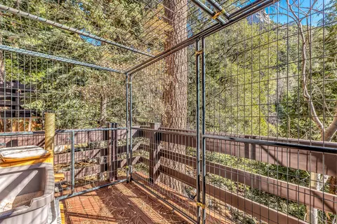 Exterior - 24700 Forest Dr, Idyllwild, CA 92549 photo 13 of 21