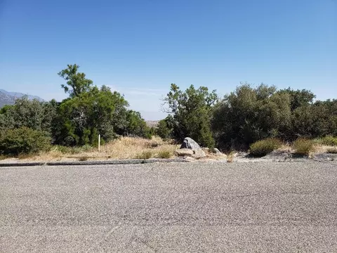 0 Ribbonwood Dr, Mountain Center, CA 92561