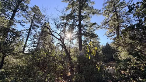 53040 Starlite Ln, Idyllwild, CA 92549
