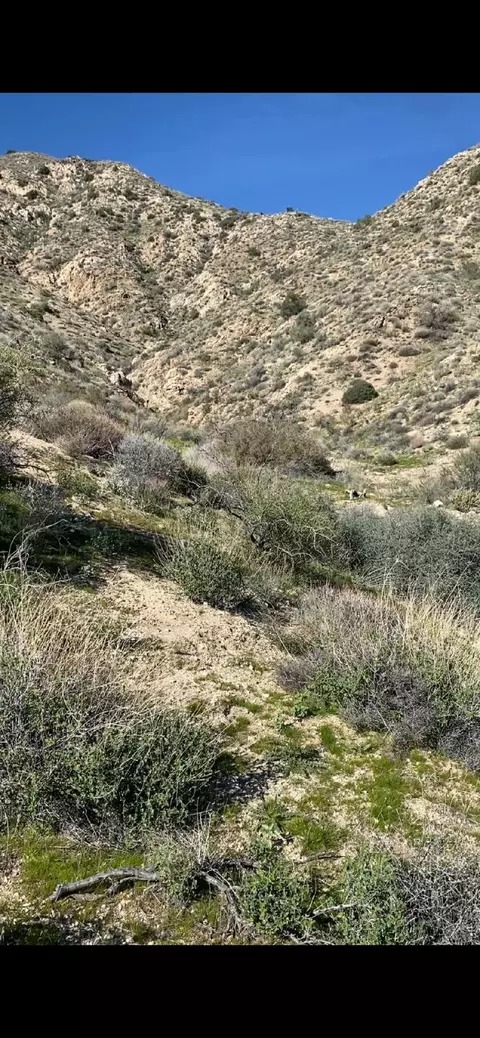 0 Pine Ave, Morongo Valley, CA 92256 photo 12
