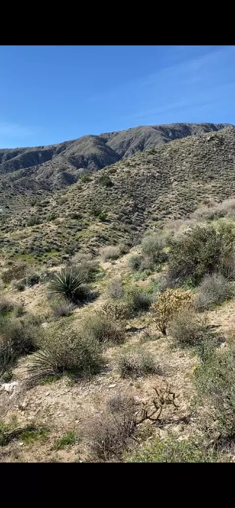 0 Pine Ave, Morongo Valley, CA 92256 photo 11