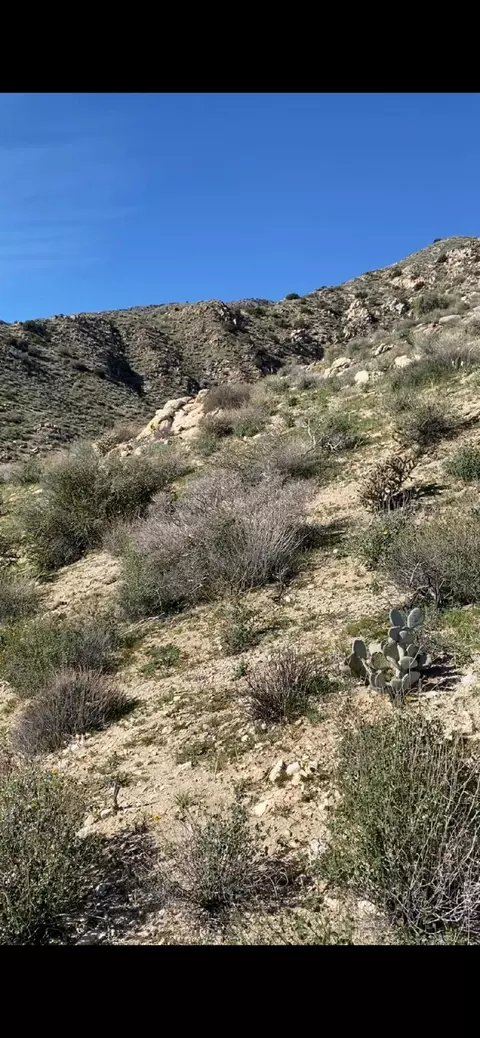 0 Pine Ave, Morongo Valley, CA 92256 photo 10