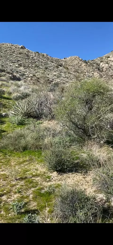 0 Pine Ave, Morongo Valley, CA 92256 photo 13