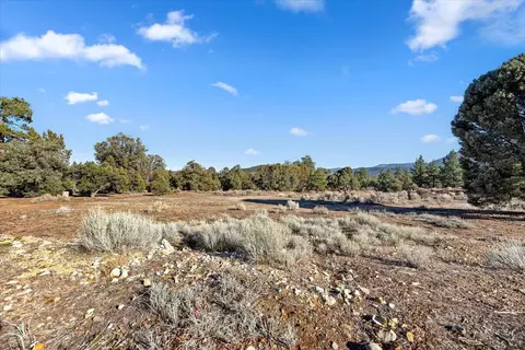 Exterior - 329 Pine Ln, Big Bear City, CA 92314 photo 2 of 17