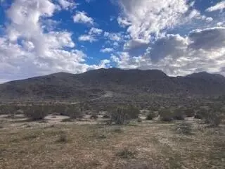 60876 Campanula St, Joshua Tree, CA 92252 photo 3