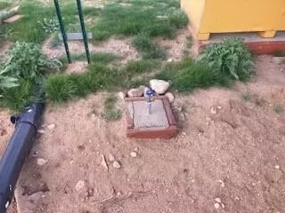 60876 Campanula St, Joshua Tree, CA 92252 photo 9