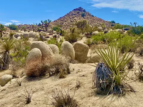 104 Bandera Rd, Yucca Valley, CA 92284