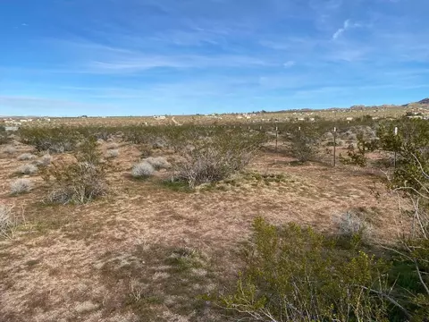 5457 Larrea Rd, Johnson Valley, CA 92285 photo 19
