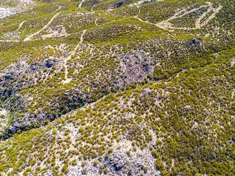 00 Palace Dr, Mountain Center, CA 92561