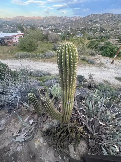 Other - 49075 Matzene Dr, Morongo Valley, CA 92256 photo 9 of 12