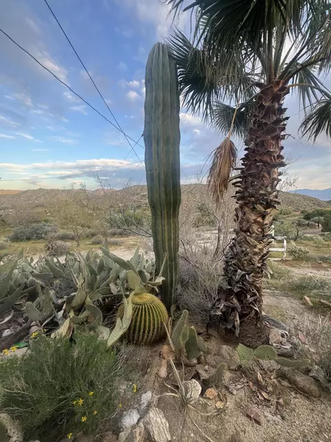 Exterior - 49075 Matzene Dr, Morongo Valley, CA 92256 photo 8 of 8
