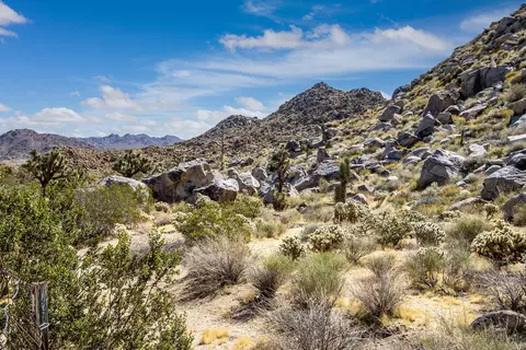 Exterior - 61093 Prescott Trl, Joshua Tree, CA 92252 photo 13 of 18