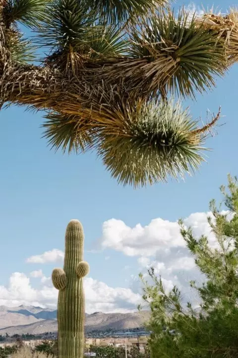 Other - 7092 Mohawk Trl, Yucca Valley, CA 92284 photo 10 of 10