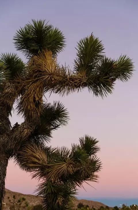 Other - 7092 Mohawk Trl, Yucca Valley, CA 92284 photo 9 of 10