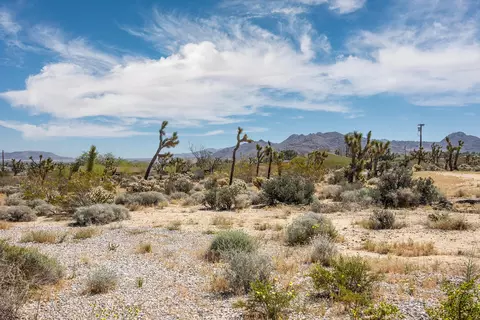 6655 Saddleback Rd, Joshua Tree, CA 92252 photo 6