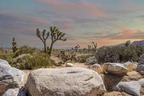 6655 Saddleback Rd, Joshua Tree, CA 92252 photo 2