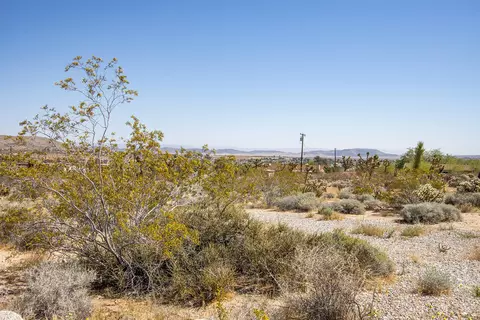 6655 Saddleback Rd, Joshua Tree, CA 92252 photo 14