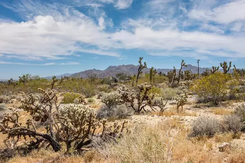 6655 Saddleback Rd, Joshua Tree, CA 92252 photo 10