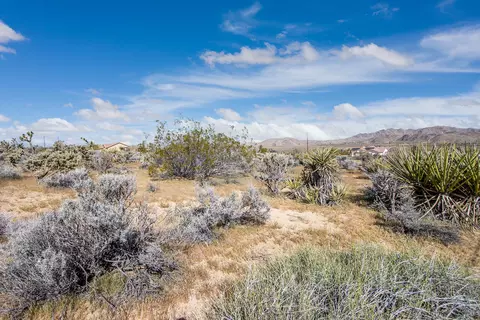 102 Saddleback Rd, Joshua Tree, CA 92252 photo 6