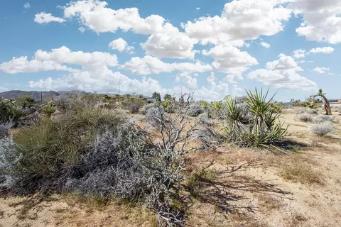 102 Saddleback Rd, Joshua Tree, CA 92252 photo 13