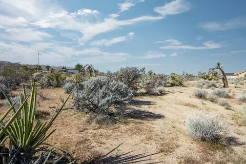 102 Saddleback Rd, Joshua Tree, CA 92252 photo 10