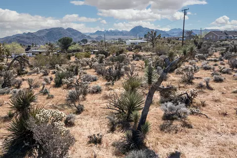 102 Saddleback Rd, Joshua Tree, CA 92252 photo 17
