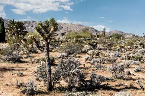 102 Saddleback Rd, Joshua Tree, CA 92252 photo 16