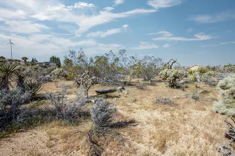 102 Saddleback Rd, Joshua Tree, CA 92252 photo 8