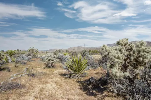 102 Saddleback Rd, Joshua Tree, CA 92252 photo 3
