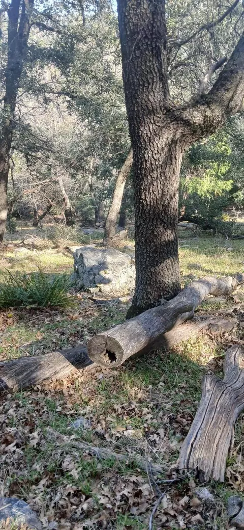 0 Alder Creek Rd, Crestline, CA 92325 photo 7