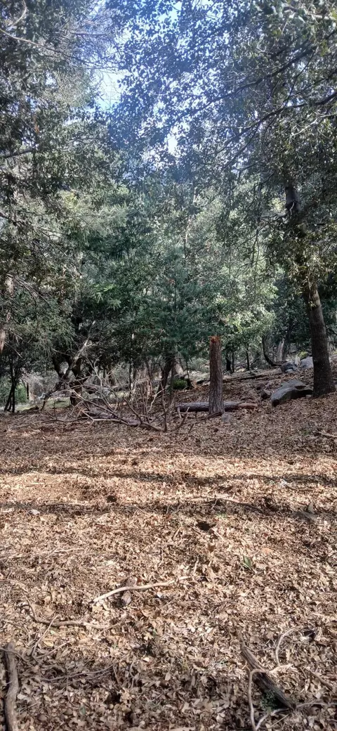 0 Alder Creek Rd, Crestline, CA 92325 photo 5