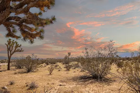 60531 Cielito Dr, Joshua Tree, CA 92252