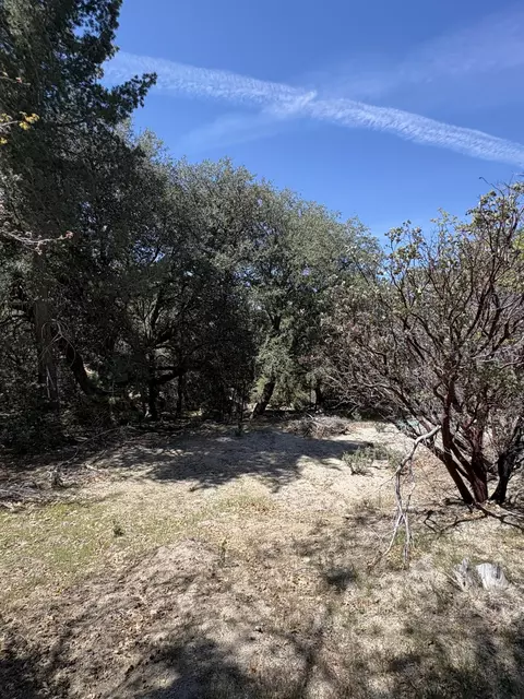 00000 Schaffer Dr, Pine Cove, CA 92549 photo 10