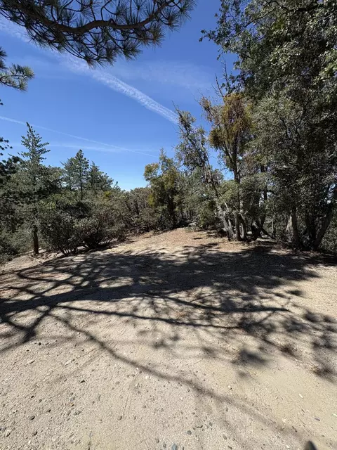 00000 Schaffer Dr, Pine Cove, CA 92549 photo 9