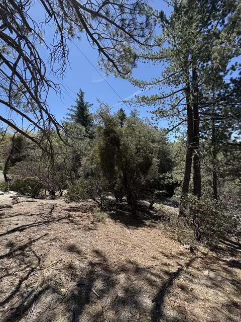 00000 Schaffer Dr, Pine Cove, CA 92549 photo 8