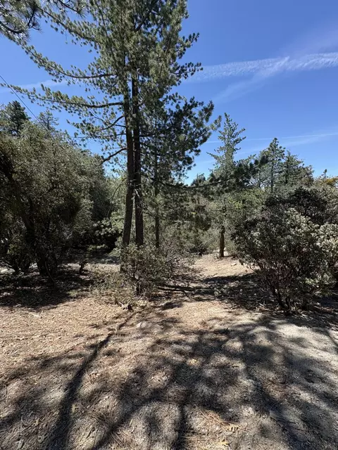 00000 Schaffer Dr, Pine Cove, CA 92549 photo 7