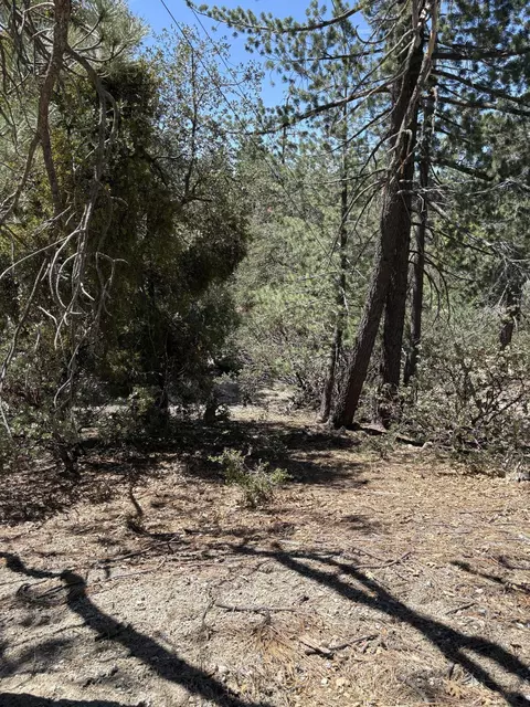 00000 Schaffer Dr, Pine Cove, CA 92549