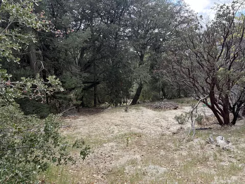 00000 Schaffer Dr, Pine Cove, CA 92549 photo 6