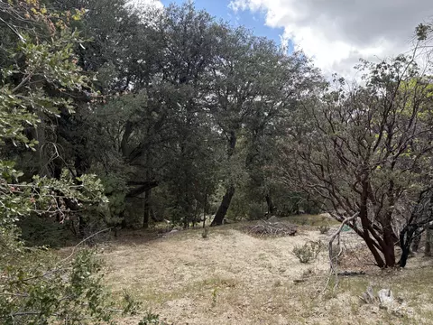 00000 Schaffer Dr, Pine Cove, CA 92549