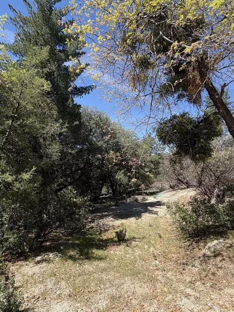 00000 Schaffer Dr, Pine Cove, CA 92549 photo 11