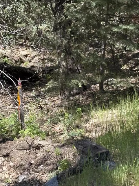 00000 Schaffer Dr, Pine Cove, CA 92549 photo 3