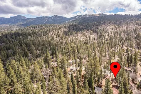 View/Area - 42532 Willow Ave, Big Bear Lake, CA 92315 photo 1 of 2