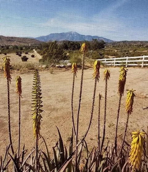 Other - 10505 Hess Blvd, Morongo Valley, CA 92256 photo 7 of 10