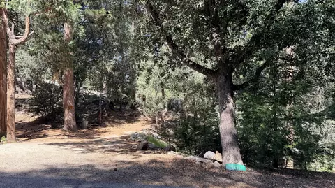 25235 Nestwa Trl, Idyllwild, CA 92549