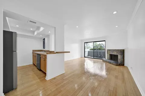 Living - 7307 Haskell Ave, Van Nuys, CA 91406 photo 3 of 5