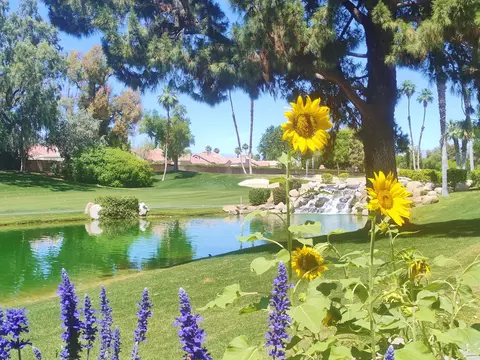 41715 Woodhaven Dr W, Palm Desert, CA 92211